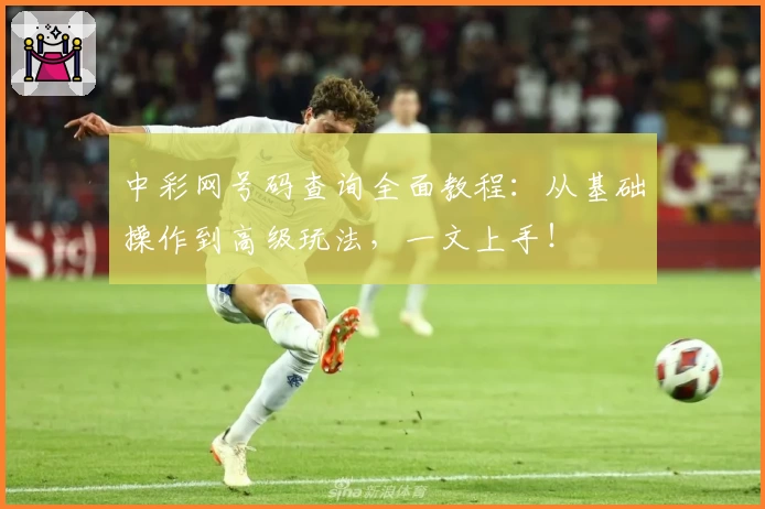 中彩网号码查询全面教程：从基础操作到高级玩法，一文上手！