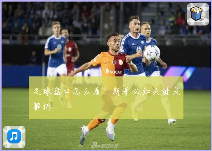足球盘口怎么看？新手必知关键点解析