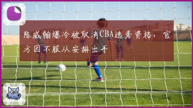 陈威翰爆冷被取消CBA选秀资格，官方因不服从安排出手