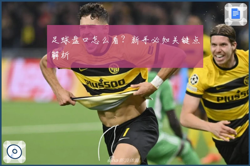 足球盘口怎么看？新手必知关键点解析
